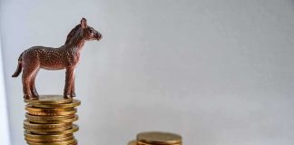 Plastic donkey figurine on a stack of coins