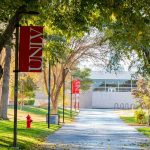 Tree-lined campus walkway with red banners