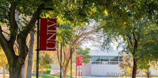 Tree-lined campus walkway with red banners