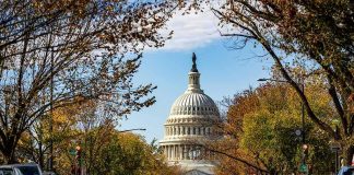 United States Capitol dome framed by a tree-lined street