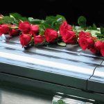 Red roses on a closed silver casket
