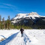 Person walking on snowy trail toward a mountain