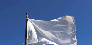 White flag on wooden pole against clear blue sky