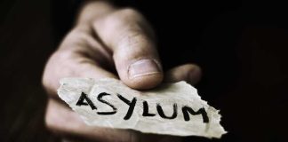 Judges Let Terror Camp Worker Seek Asylum — Wait Till You Read WHY Hand holding torn paper with the word asylum